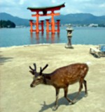 Japonsko Poutnické a Mystické